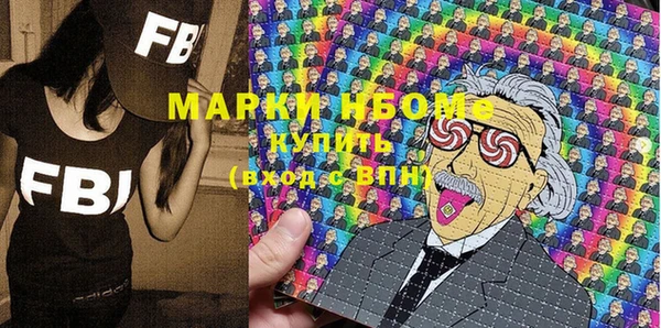 прущие грибы Ельня