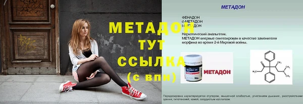 прущие грибы Ельня