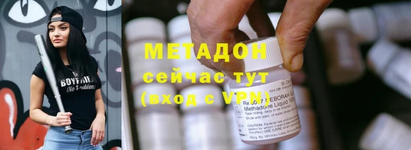 прущие грибы Ельня
