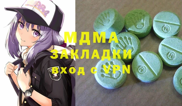 прущие грибы Ельня