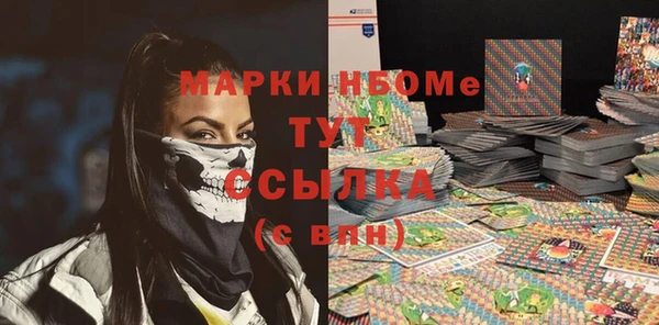 прущие грибы Ельня