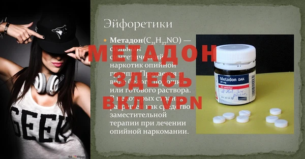 прущие грибы Ельня