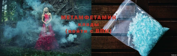 прущие грибы Ельня
