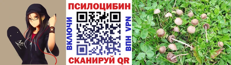 Галлюциногенные грибы MAGIC MUSHROOMS  Омутнинск 
